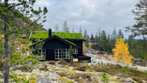 Storekleiv Hyttefelt Tuddal